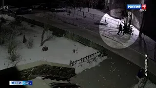 В жилом дворе по улице Блюхера неизвестные похитили новогоднюю ёлку