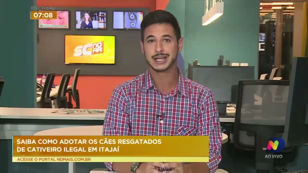 Saiba como adotar os cães resgatados de cativeiro ilegal em Itajaí