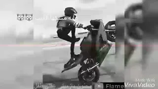 حاله واتس مهرجان غابه مسكها الديب  غناء حسن البرنس الصغير   حسن البرنس شبيك لوبيك دندنها