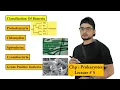 Classification of Bacteria Prokaryotes