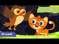 Download Lagu Burung hantu | Matahari Terbenam | Lagu Anak Balita Populer