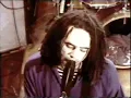 Swervedriver - Son Of Mustang Ford