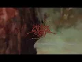 Chelsea Grin - "Forever Bloom" Ft. Trevor Strnad (Visualizer)