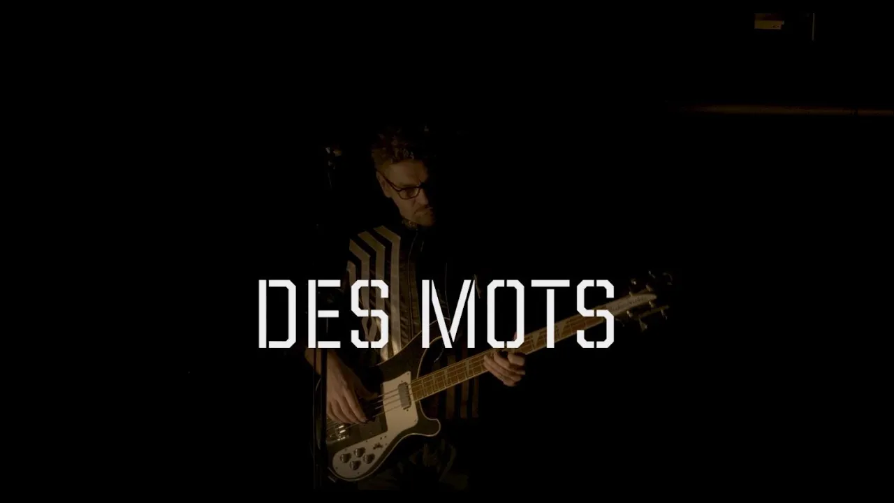 DES MOTS - Extrait du concert "BRUT"