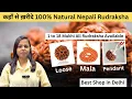 Download Lagu NATURAL NAPALI RUDRAKSHA | 100% Original Rudraksha Mala and Pendant Kaha se le with Certificate