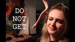 3 Things I Hate about BALL PYTHONS