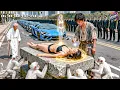 Download Lagu Ăn Mày Lang Thang Thấy Nữ Tổng Tài Đổ Huyết Liền Ra Tay Cứu Sống—Ai Ngờ Anh Là Thần Y Cái Thế!