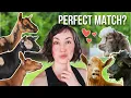Download Lagu Choosing This Year's Breeding Pairs! (miniature goat farm)