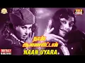 Lagu Naan Uyara Video Song | Naan Aanaiyittal Tamil Movie | MGR | Saroja Devi | Vaali | TMS | P Susheela
