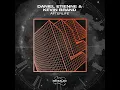 Afterlife (Extended Mix)
