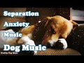 Download Lagu Vermogende muziek om uw hond te ontspannen! 🐶 Kalmeer je hond en bestrijdt angst!