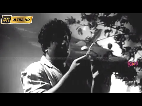 Engum Sonthamillai - YouTube