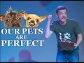 Every Pet Adoption Place
