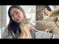 Download Lagu i got a cat