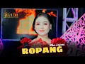 Lagu ROPANG – NITA ANJANI | LAGU JAWA VIRAL 2025 | CAMPURSARI DANGDUT BIKIN BAPER! | BG MUSIC