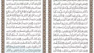 سوره الروم منصور السالمي كامله 