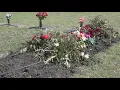 Botched Burial A Central Texas funeral home allegedly forgot to plan military honors