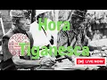 Download Lagu NOU 2024 Tiganesca asta Frumoasa