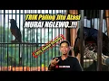 Download Lagu MURAI Nglewo Sembuh TOTAL 100% Dengan TRIK ini