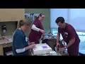 Faculty Innovation - Shauna LaMagna