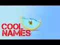boy Fish names that start with j