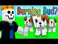 Download Lagu Using Only Seeds My Dog Digs up in Grow a Garden