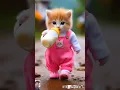 Download Lagu Dudi dudi dum dum 🍼🥰 #cat #cute #love #hrase follow #shortsfeed #dudidudidam #catshorts #shorts