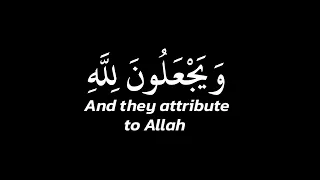 ويجعلون لله البنات سبحانه ولهم ما يشتهون    سورة النحل    عبد الرحمن مسعد   كروما   مكتوبة دندنها