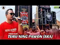 Download Lagu TURU NING PAWON SKA -Voc. FAHMI ZEIN | SINGA DEPOK PUTRA PAI MUDA (PPM)| BANGKALOA - WIDASARI IM. MP3