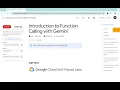 Introduction to Function Calling with Gemini With Explanation