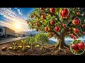 From Apple Seed to Magical Apple Tree Amazing Time-Lapse Growth AI Cinematic