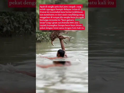 BENARAN INI PRIA DARI JAWA MENDADAK KAYA DI SUMATERA