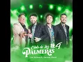 Club de Los Palmeras #4
