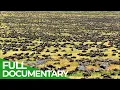 Download Lagu Great Migration | Wild Ones | Episode 11 | Free Documentary Nature