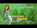 Download Lagu VERSI JARANAN - NGELALI - REZA ZAENAL - PRIMA SENTEREWE