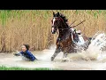 Download Lagu LOS MEJORES FRACASOS DE LA VIDA EN LA GRANJA 🚜🐄 FRACASOS DE ANIMALES DE GRANJA Y TRACTORES
