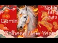 Gemini Best Year in Decades Not Again in 60 Years Fire Horse Chinese New Year