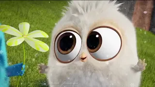 احبك تدري شتمنى  سي ف نبيل مع الكلمات دندنها