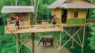 Bamboo Tree House Adventure Begins From Zero To Paradise TIMELAPSE 