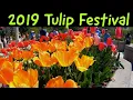 2019 Tulip Festival in 4K Thanksgiving Point Utah