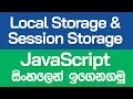 Local Storage Session Storage Cookies - Part 1