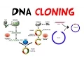 DNA cloning