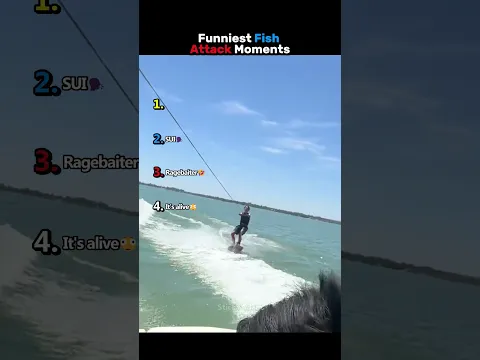 Funniest Fish Attack Moments