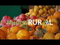 Download Lagu Confira a íntegra do programa Minas Rural deste sábado (23)!