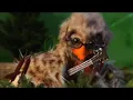 Barenaked Ladies - Pollywog In A Bog (Extended Version)