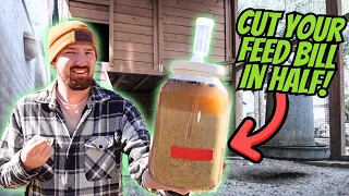 Chicken Feed Companies DO NOT Want You To Hear THIS