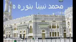 أنشودة محمد نبينا بنوره هادينا دندنها