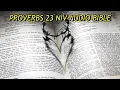 PROVERBS 23 NIV BIBLE with text