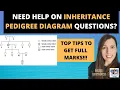 INHERITANCE PEDIGREE DIAGRAMS - How to get FULL MARKS on exam questions