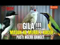 Download Lagu JOSSSS MATERI LEDAKAN - FULL KASARAN || BESETAN-CUNGKOK KUNTI-GEREJA TARUNG-TEPUS AKHIRAN SAMPIT